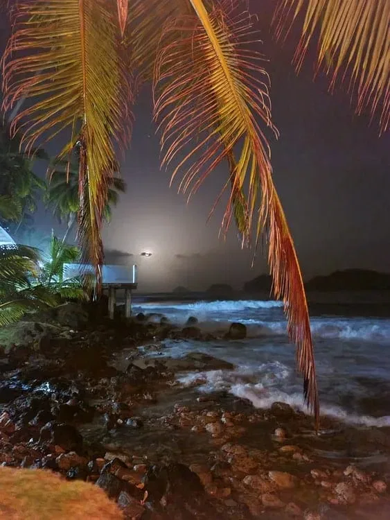 su hotel en isla grande colón